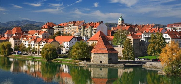 Slovenya'da Dil Öğrenimi