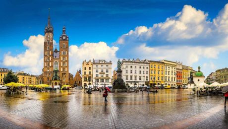 Polonya'da Dil Öğrenimi