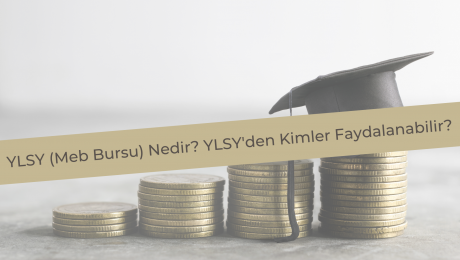 ylsy bursu