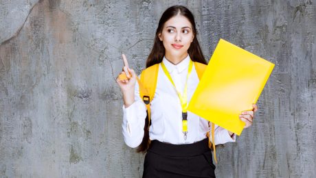 Hollanda'da Üniversite Eğitimi Sonrası Kariyer